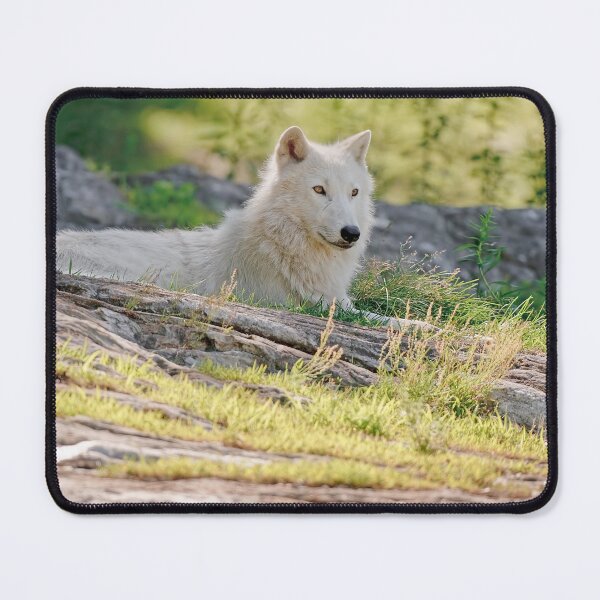 Artikelvorschau, Lazy Days entworfen und verkauft von WolvesOnly.