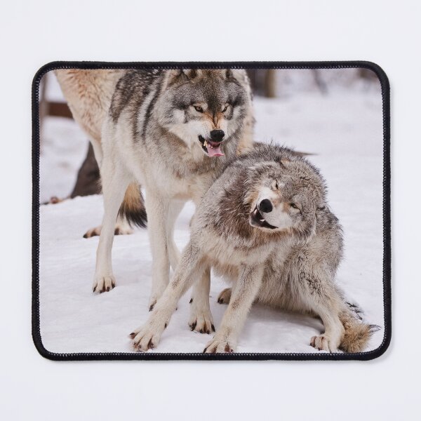 Item preview, Timber Wolves designed and sold by WolvesOnly.