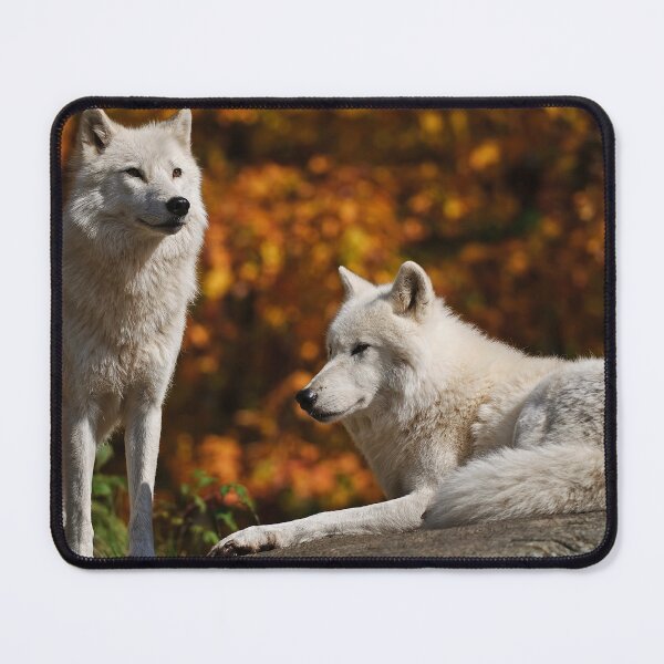 Item preview, Arctic Wolves designed and sold by WolvesOnly.
