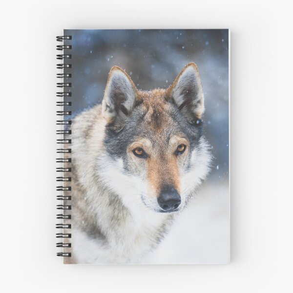 Item preview, Czechoslovakian wolfdog on a winter snowy day designed and sold by Mirka Rueda Rodriguez.