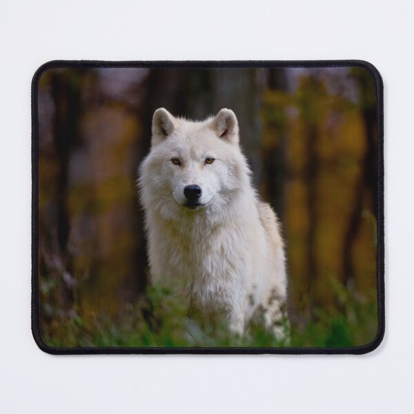 Item preview, Arctic Wolf designed and sold by WolvesOnly.