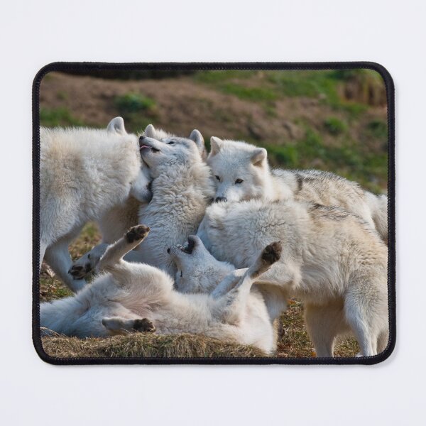 Item preview, Playful Pack designed and sold by WolvesOnly.