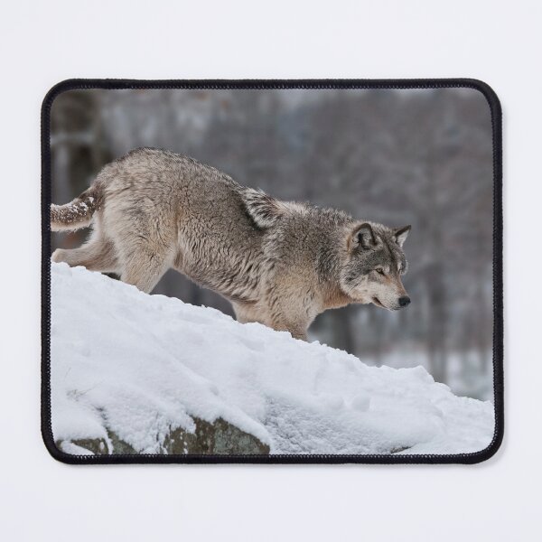 Item preview, Timber Wolf designed and sold by WolvesOnly.