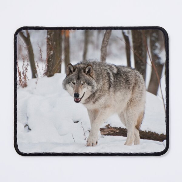 Item preview, Timber Wolf designed and sold by WolvesOnly.