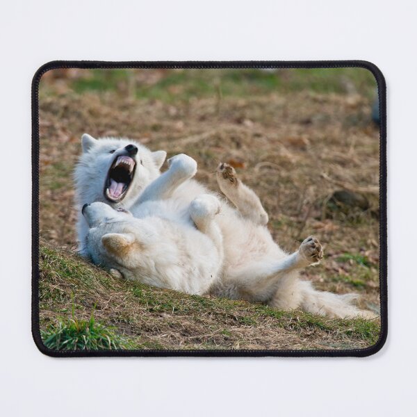 Item preview, Arctic Wolf designed and sold by WolvesOnly.