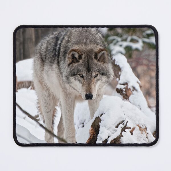 Item preview, Timber Wolf designed and sold by WolvesOnly.