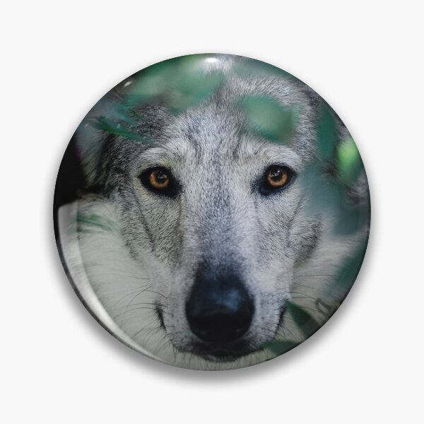 Item preview, Czechoslovakian wolfdog designed and sold by Mirka Rueda Rodriguez.