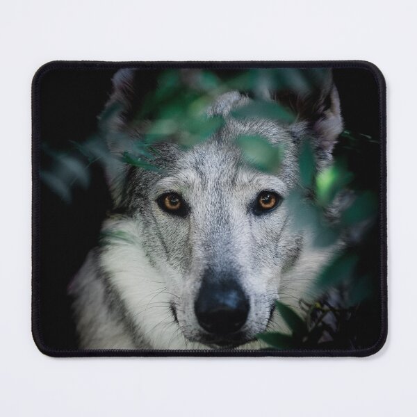 Item preview, Czechoslovakian wolfdog designed and sold by Mirka Rueda Rodriguez.