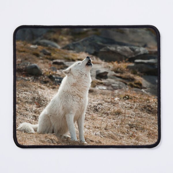 Item preview, Howling Arctic Wolf designed and sold by WolvesOnly.