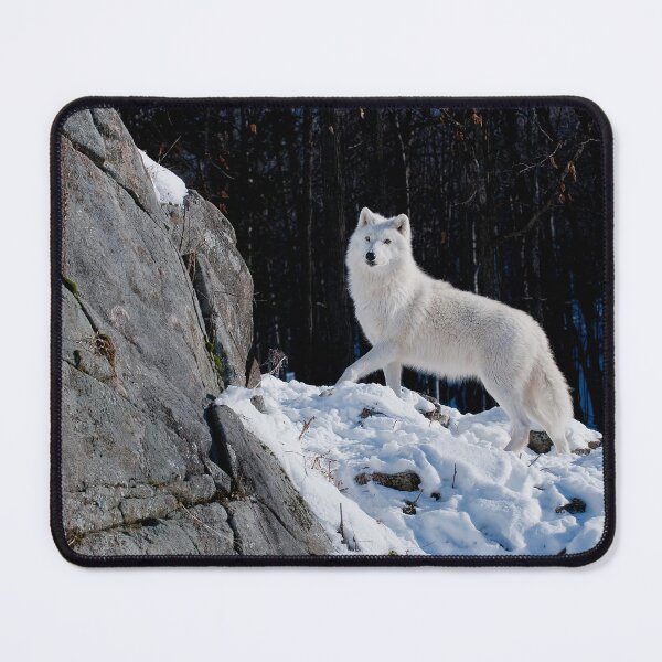 Item preview, Arctic Wolf designed and sold by WolvesOnly.