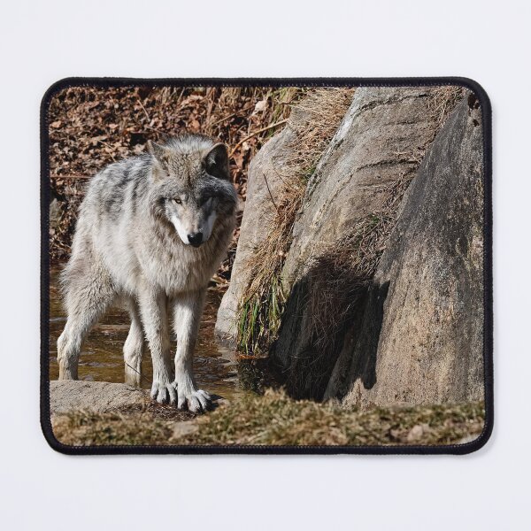 Item preview, Timber Wolf designed and sold by WolvesOnly.