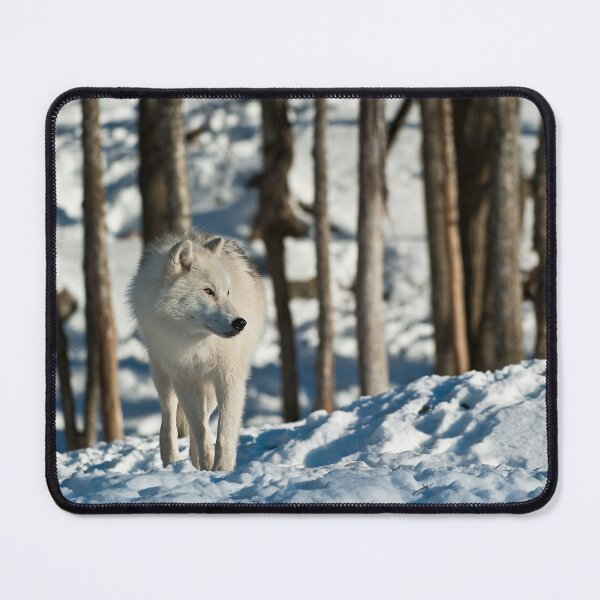 Item preview, Arctic Wolf designed and sold by WolvesOnly.
