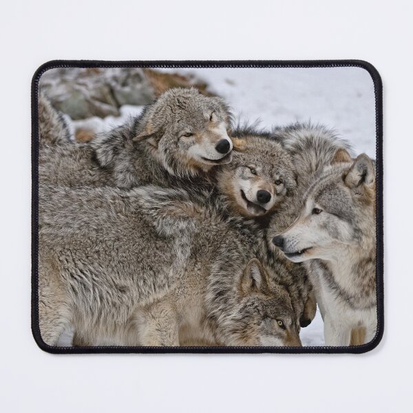 Item preview, Playful Wolf Pack designed and sold by WolvesOnly.