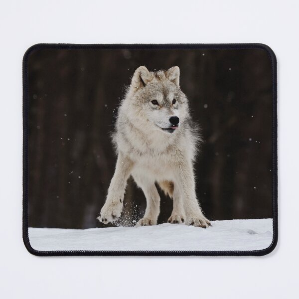 Item preview, Arctic Wolf designed and sold by WolvesOnly.