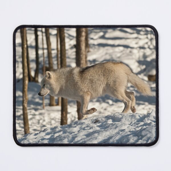 Item preview, Arctic Wolf designed and sold by WolvesOnly.