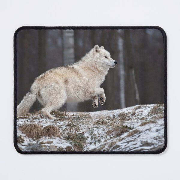 Item preview, Arctic Wolf  designed and sold by WolvesOnly.