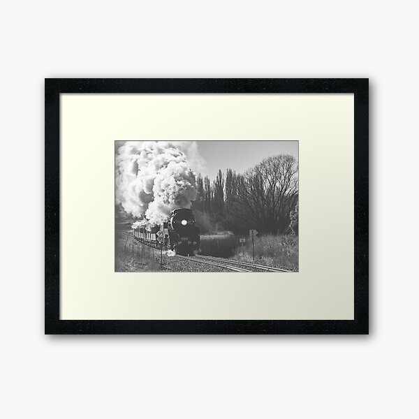 3801 Georges Plains Black & White Framed Art Print