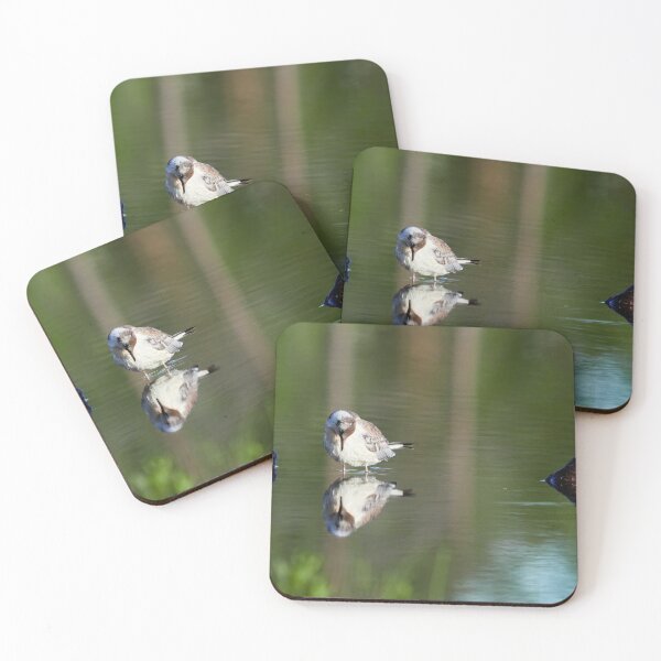 Item preview, That beayty again. Black-headed gull designed and sold by Jouko Lehto Photography.