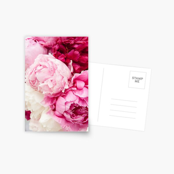 Riot of Pinks Postcard