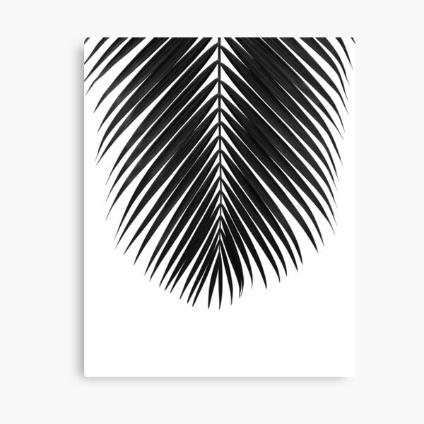 Item preview, PALM LEAF Black & White II designed and sold by NORDIKART.