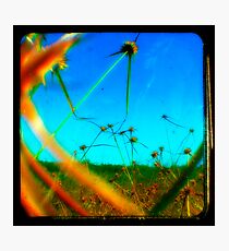 I'M YELLING BLUE! Photographic Print