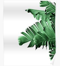BANANA LEAF Poster