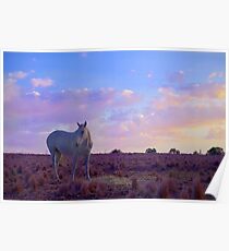 Pastel Grey Poster