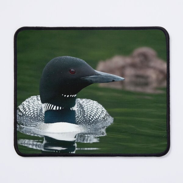 Item preview, Common Loon And Chick designed and sold by Loon-Images.
