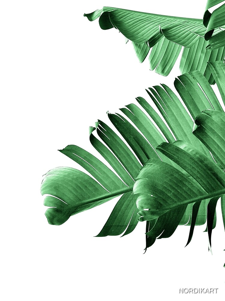 BANANA LEAF by NORDIKART