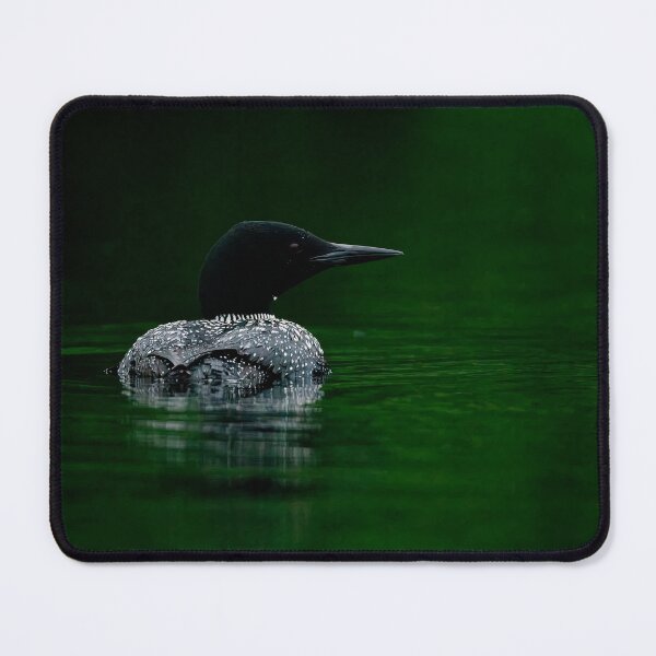 Item preview, Common Loon designed and sold by Loon-Images.