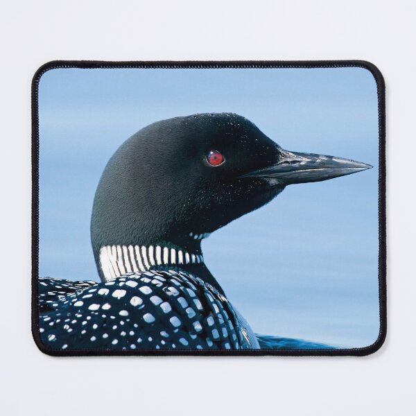 Item preview, Common Loon designed and sold by Loon-Images.