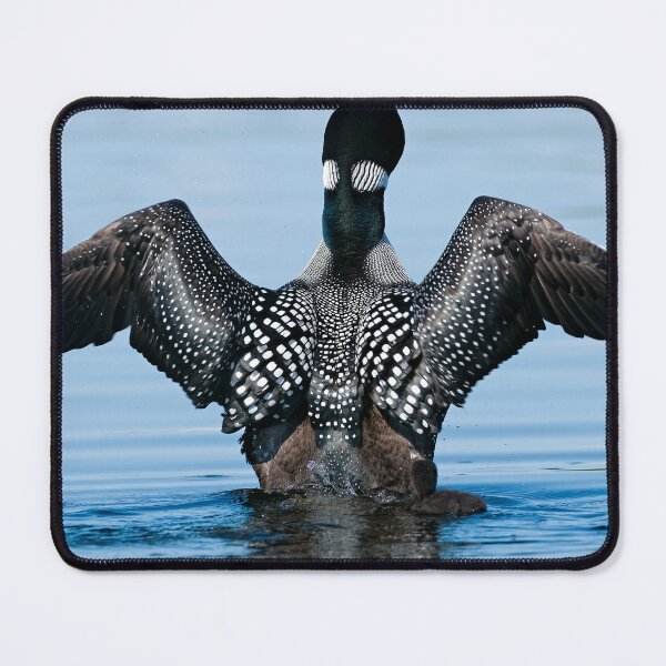 Item preview, Wing Flap designed and sold by Loon-Images.