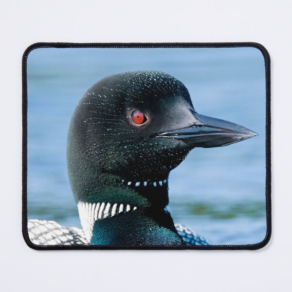Item preview, Common Loon designed and sold by Loon-Images.