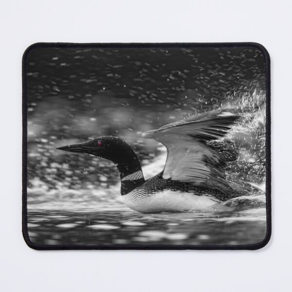 Item preview, Common Loon designed and sold by Loon-Images.