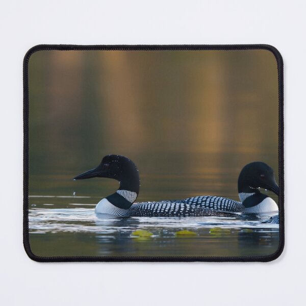 Item preview, Common Loons designed and sold by Loon-Images.