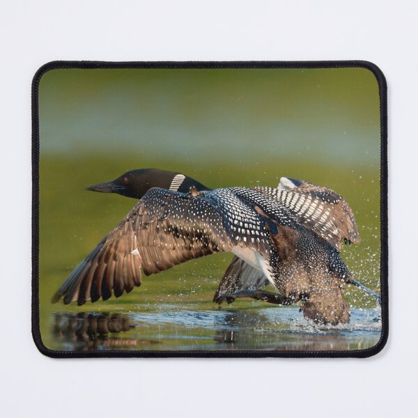 Item preview, Take Off designed and sold by Loon-Images.
