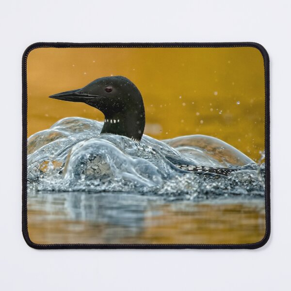 Item preview, Common Loon designed and sold by Loon-Images.