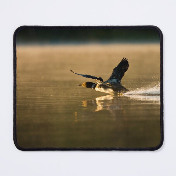 Item preview, Take Off designed and sold by Loon-Images.