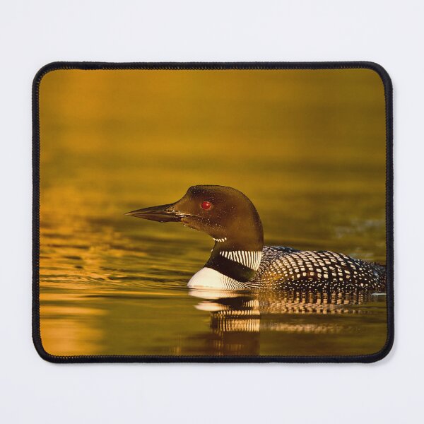 Item preview, Common Loon designed and sold by Loon-Images.