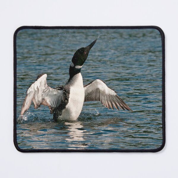 Item preview, Common Loon designed and sold by Loon-Images.