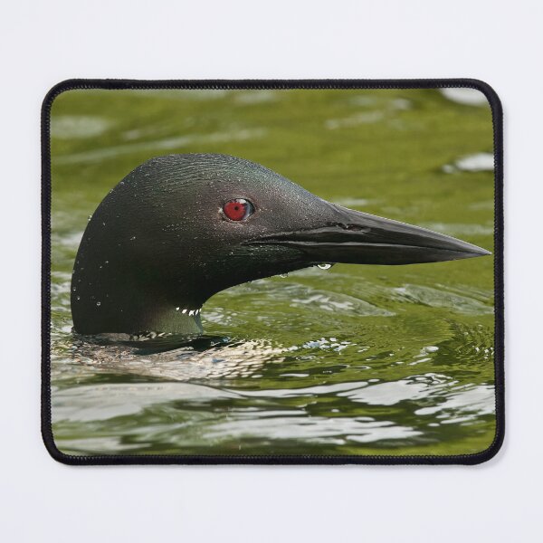 Item preview, Common Loon designed and sold by Loon-Images.