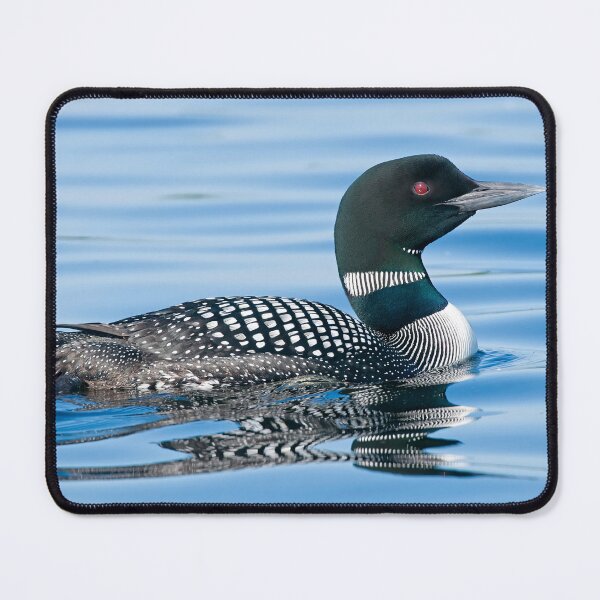 Item preview, Common Loon designed and sold by Loon-Images.