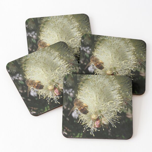 Item preview, Bee on Beautiful Bottlebrush designed and sold by KazM.