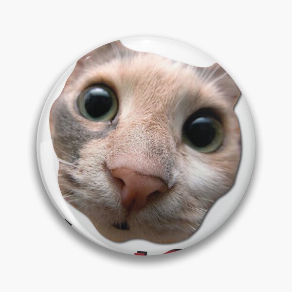 Item preview, Street Cats, funny cats  designed and sold by Ouizza.
