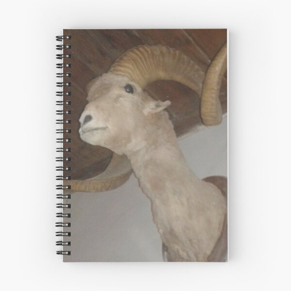 Item preview, ibex designed and sold by Adeel Mushtaq.