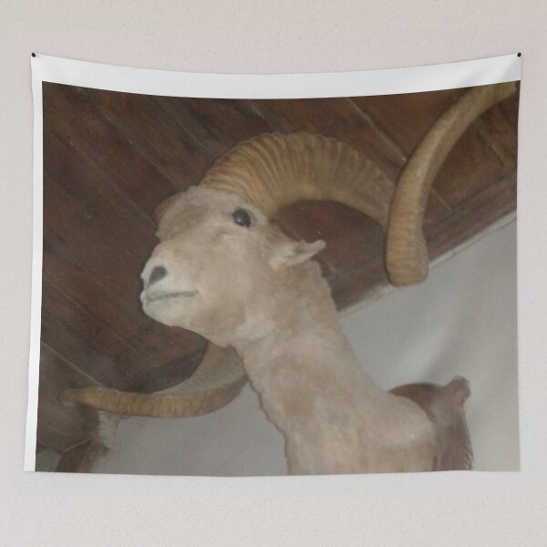 Item preview, ibex designed and sold by Adeel Mushtaq.