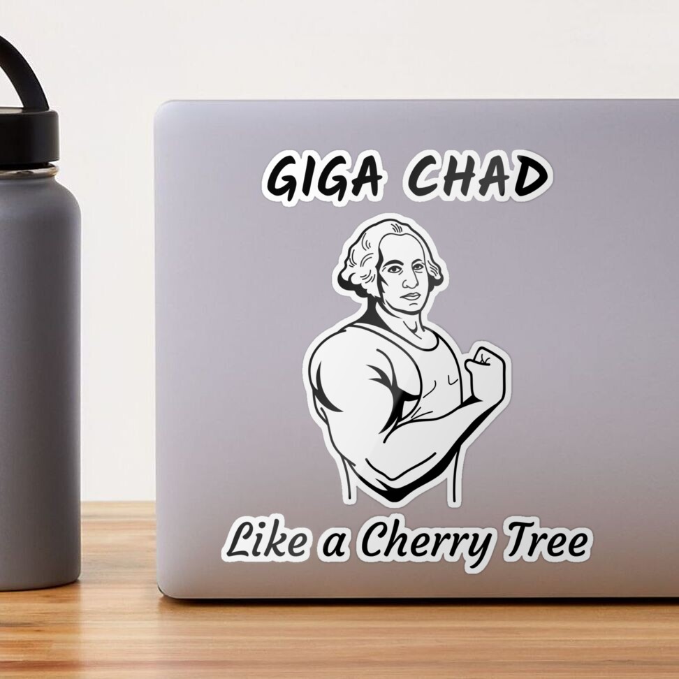 Works like a charm 🗿😮‍💨 #gigachad #chadface, chad face