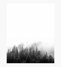 FOREST Minimalist Photographic Print