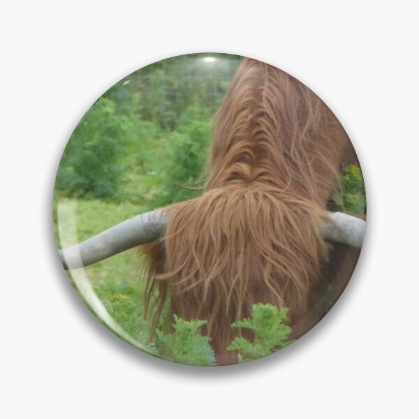 Item preview, Highland Coo designed and sold by sianemily.