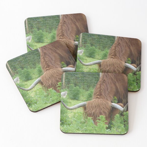 Item preview, Highland Coo designed and sold by sianemily.